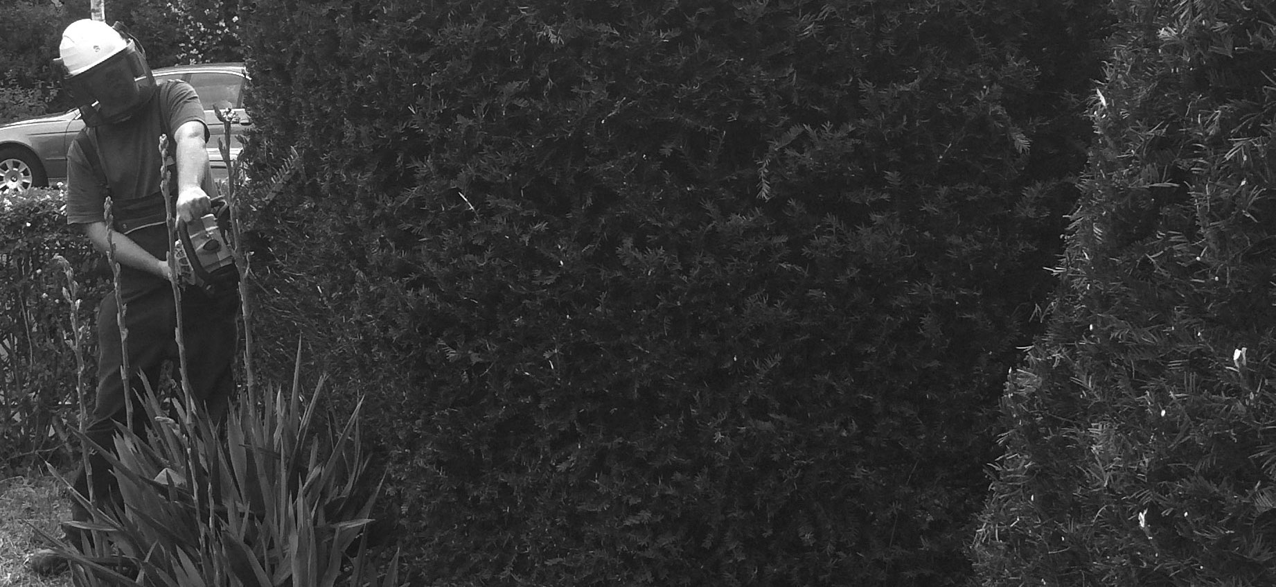 Hecken-und Strauchschnitt/Wildkrautbeseitigung